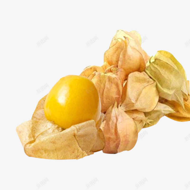 好吃菇娘果png免抠素材_88icon https://88icon.com 多汁 多籽 水果素材 黄色水果