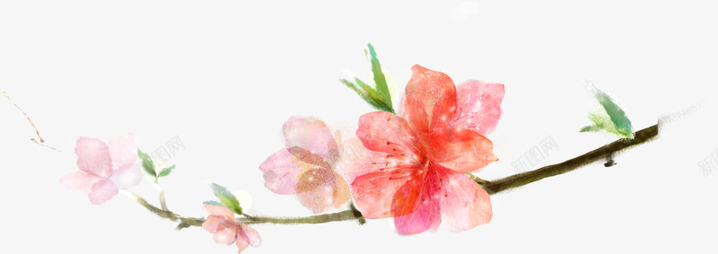手绘春日桃花盛开png免抠素材_88icon https://88icon.com 春日 桃花 盛开