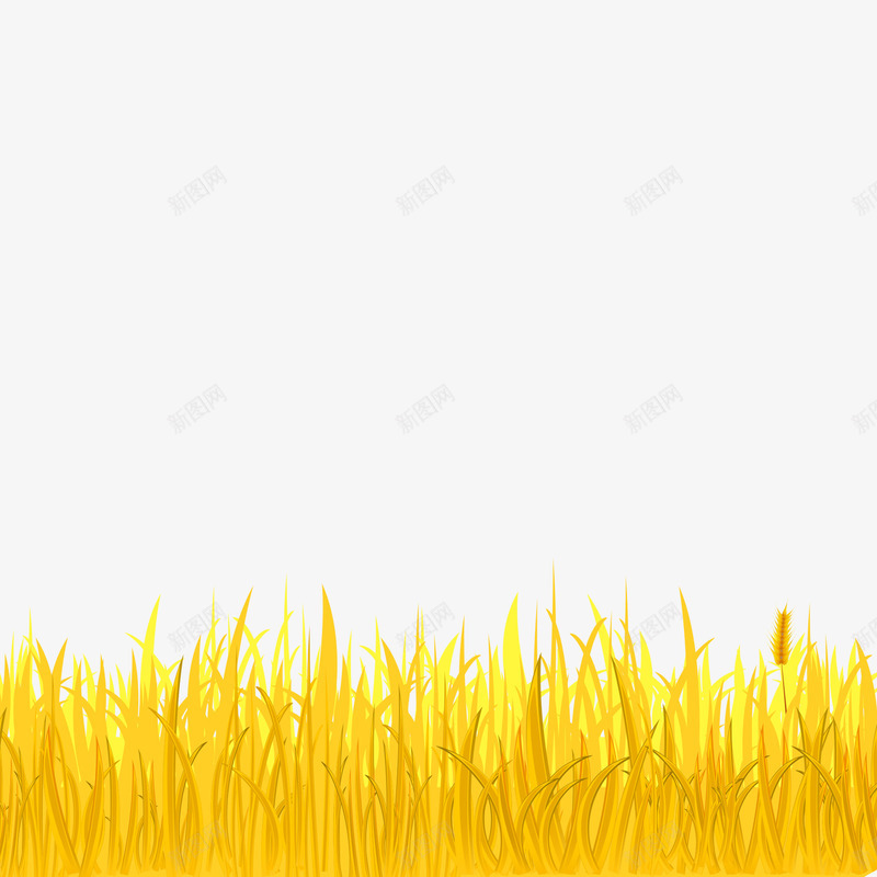 金色的麦穗和麦田png免抠素材_88icon https://88icon.com 农作物 农场 麦田 麦穗