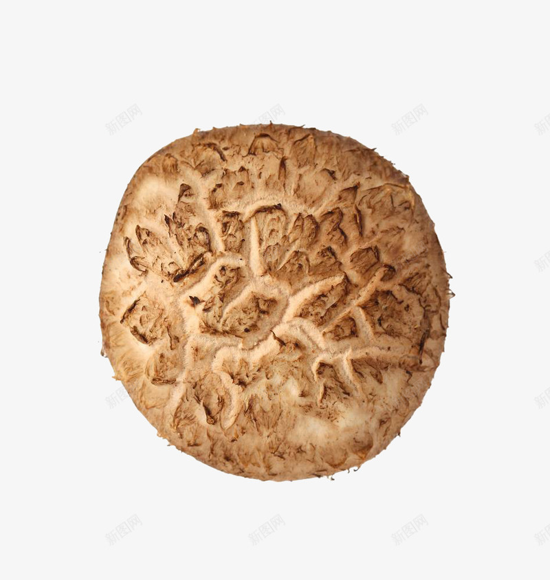 有机香菇png免抠素材_88icon https://88icon.com 健康 实物 新鲜香菇 有机香菇 美食 营养 蘑菇 香菇特写 香菇青菜
