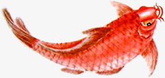 红色水墨画鲤鱼素材