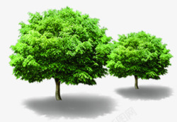 绿色开学季树叶素材