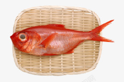 红鲤鱼素材