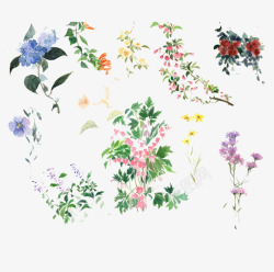 韩国小清新手绘花朵素材