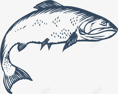 桂花鱼弯曲的鱼矢量图图标图标