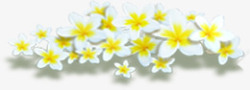 白色唯美纯洁花朵春天素材