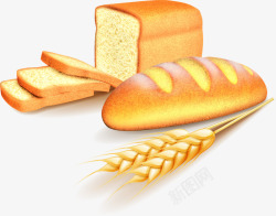 面包麦穗素材