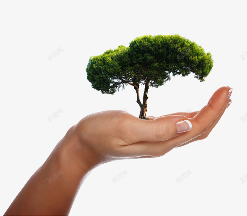 手捧树png免抠素材_88icon https://88icon.com 保护大自然 掌上的植物 爱护植物 环保 茂盛的树