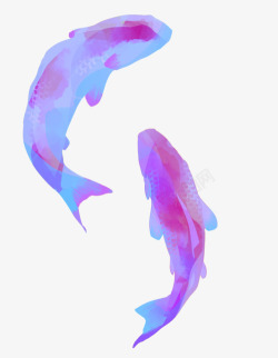 蓝紫相间双鱼戏水高清图片