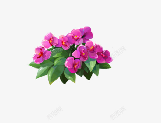 可爱的蝴蝶兰psd免抠素材_88icon https://88icon.com 盛开 自然 花卉 蝴蝶兰花