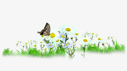 花园里创意合成在花园里飞舞的蝴蝶高清图片