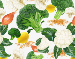 健康蔬菜西兰花和花菜素材