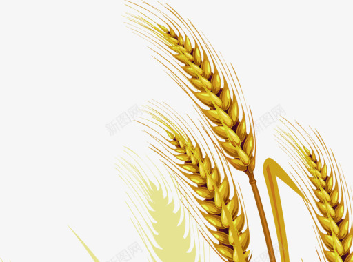 英伦麦穗手绘黄色麦穗图标图标