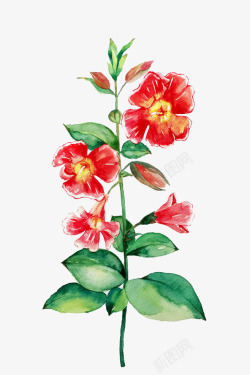 红色盛开手绘花卉素材