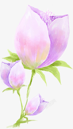 手绘紫色浪漫梦幻花朵盛开素材