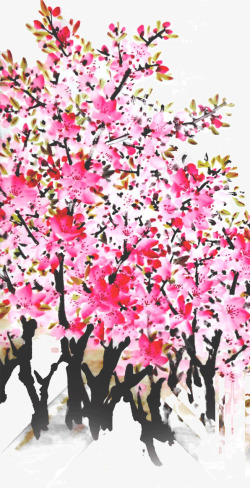盛开的桃花树素材