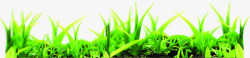 室外摄影景深效果绿色的小草草丛素材