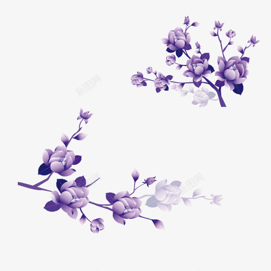 紫色花朵在枝条上盛开png免抠素材_88icon https://88icon.com 淡紫 深紫 盛开 花朵