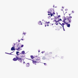紫色花朵在枝条上盛开素材
