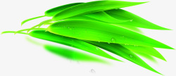 绿色新鲜竹叶露珠素材