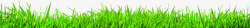 绿色草丛效果植物素材