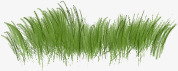 手绘绿色草丛创意风景素材