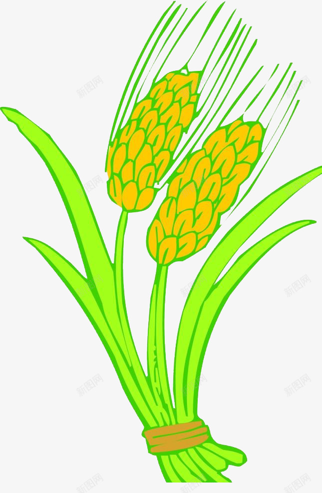 绿色农作物png免抠素材_88icon https://88icon.com 收获 果实 植物 谷穗 麦穗