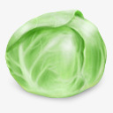 绿色卷心菜天然蔬菜素材