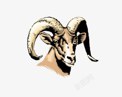 手绘写实羊头图案素材