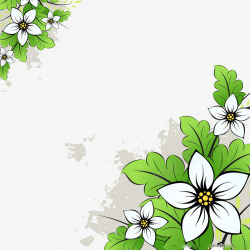 白色花卉装饰图素材
