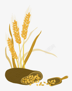 粮食作物麦穗素材