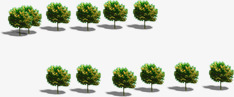绿化树生态鸟瞰素材
