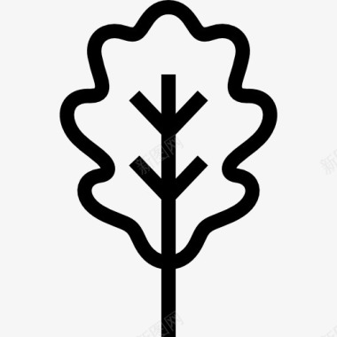 自然生长的植物橡树图标图标