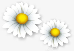 白色卡通唯美纯洁花朵素材