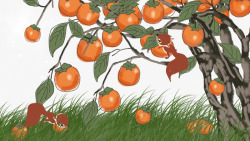 吃柿子卡通手绘松狮吃柿子插画高清图片