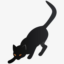 猫动物碎南瓜素材