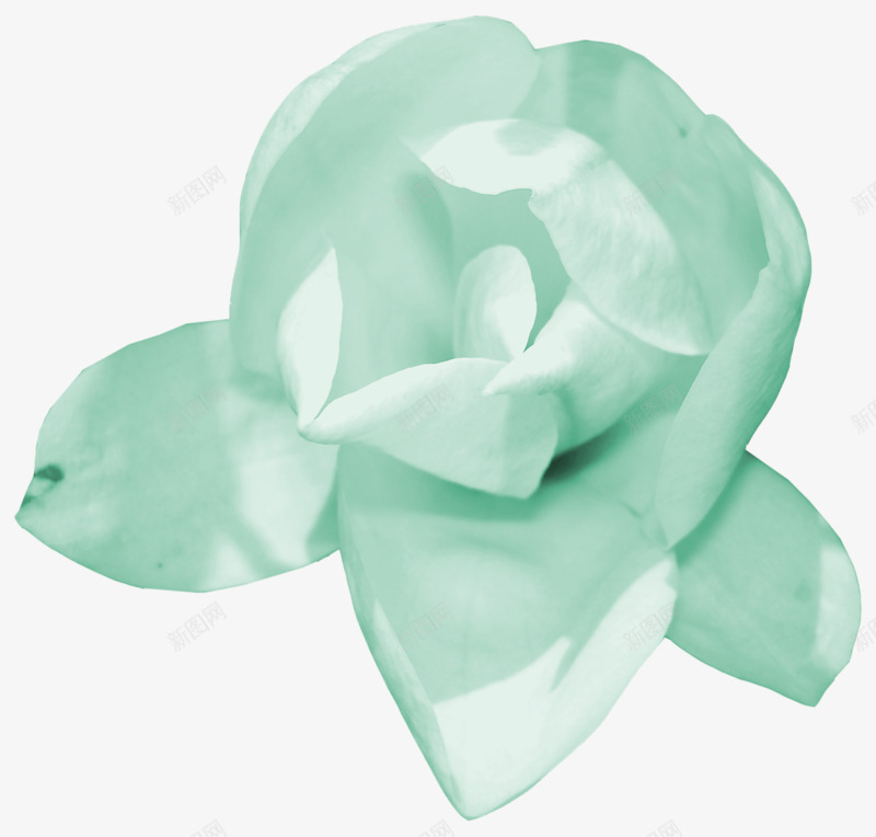 手工纸质花朵png免抠素材_88icon https://88icon.com 手工 白色 纸质 花朵