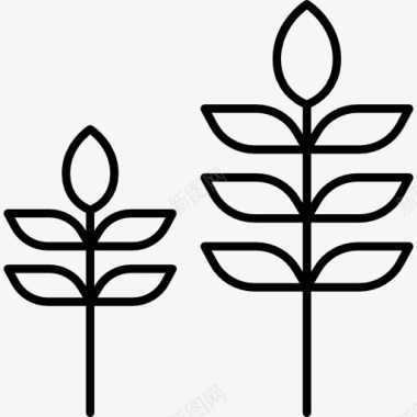 两种植物图标图标