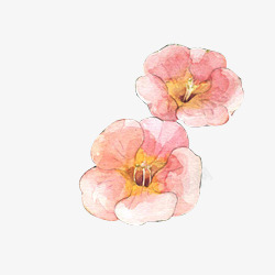 盛开粉色花卉手绘海报背景素材