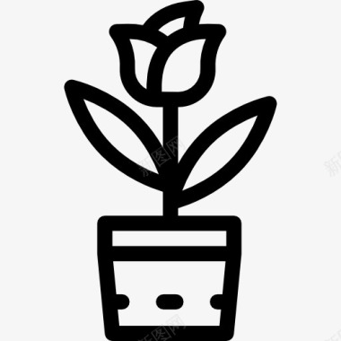 自然生长的植物郁金香图标图标