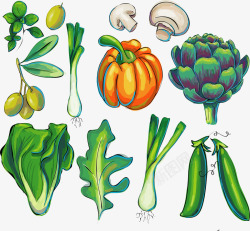 叶菜手绘蔬菜高清图片