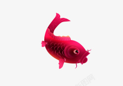 一只锦鲤红色可爱的鲤鱼PSD高清图片