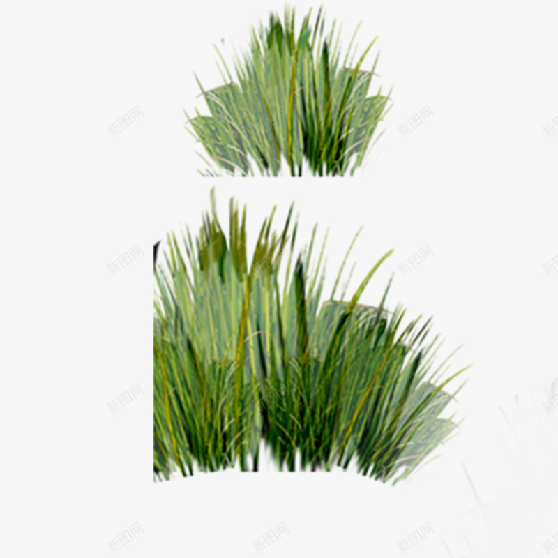 草丛青苔png免抠素材_88icon https://88icon.com 草丛 青苔