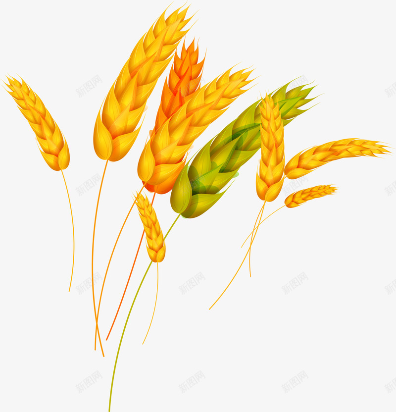 黄色简约丰收稻穗png免抠素材_88icon https://88icon.com 丰收 免抠PNG 稻穗 稻谷 简约 装饰图案 金色 金色麦穗 黃色稻穗 黄色