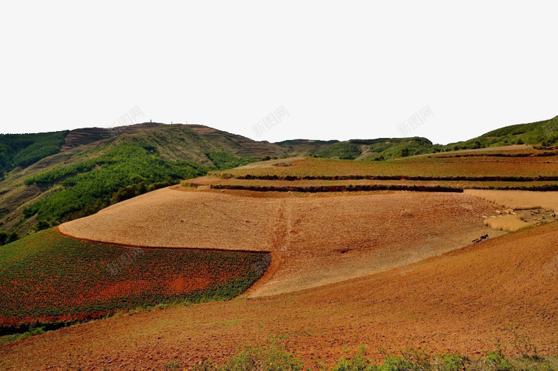 云南东川红土地风景矢量图eps免抠素材_88icon https://88icon.com 云南 旅游 景点 特色 风景 矢量图