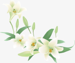 白色唯美清新纯洁花朵春天素材