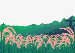 农田里农田里的稻谷高清图片