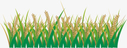 麦子丰收黄色绿色素材
