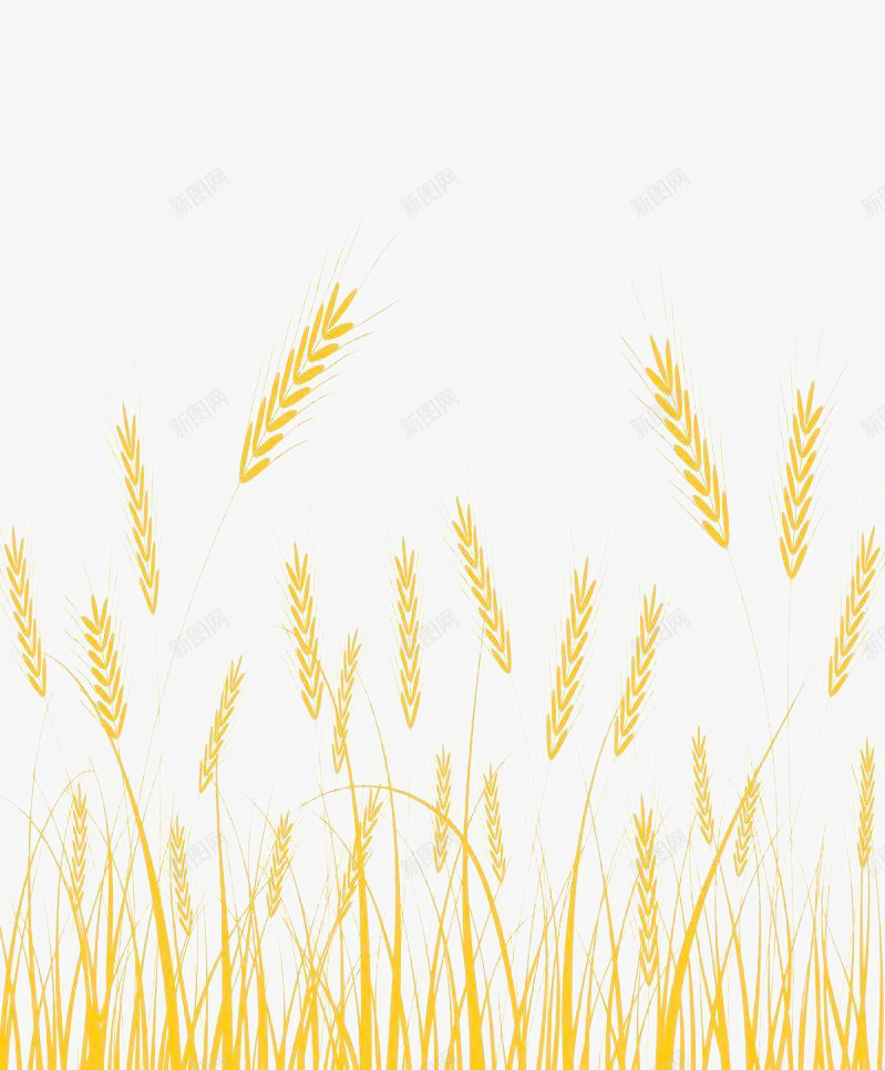 金色的简易麦穗元素png免抠素材_88icon https://88icon.com 元素 卡通 简易 金色 麦穗