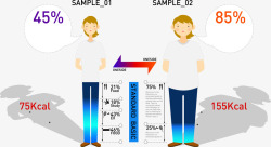 营养膳食瘦身对比矢量图素材